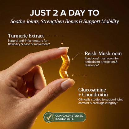 Handled Premium Turmeric Gummies - Move More Comfortably In Just 30 Days