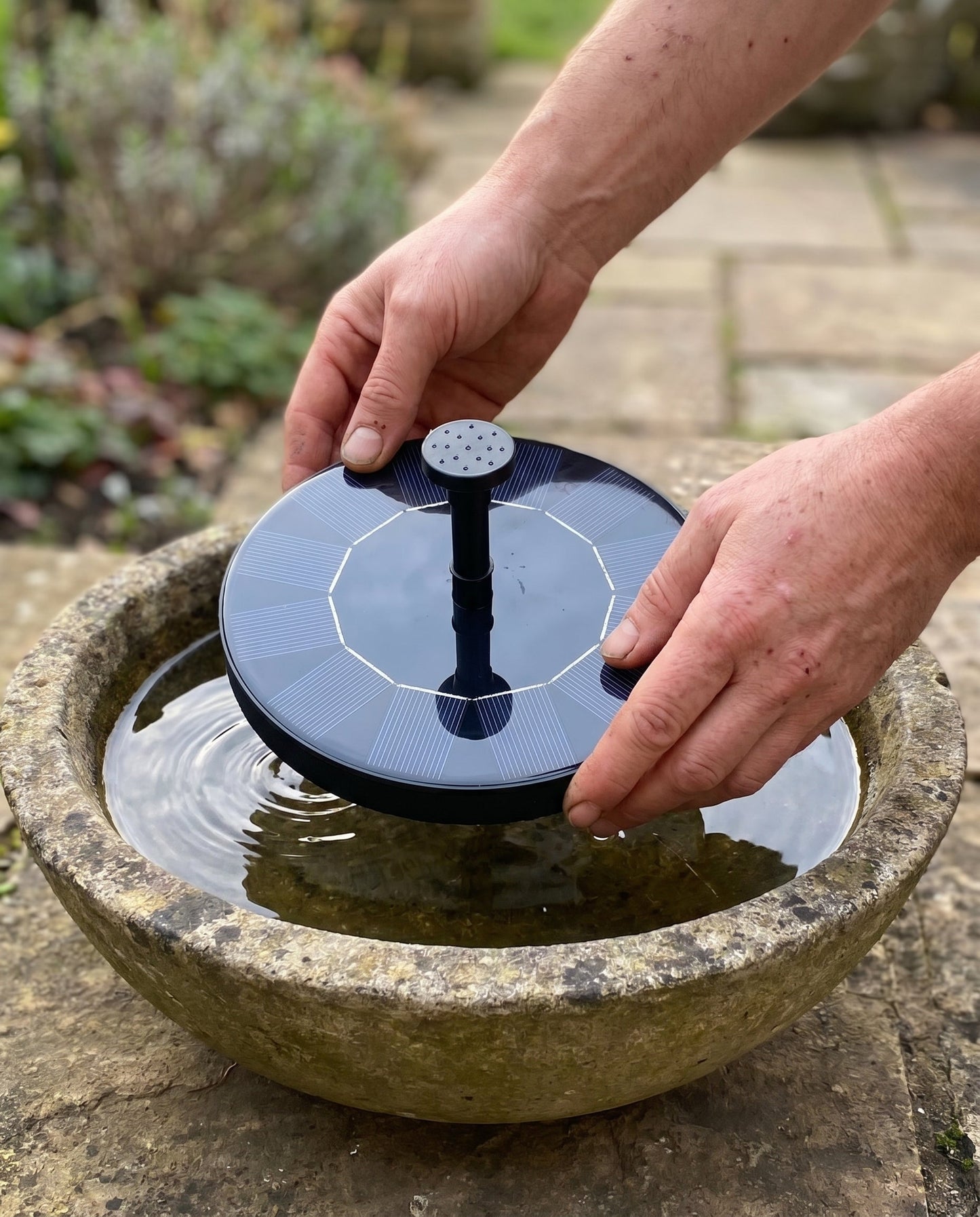 Hands placing solar fountain into a small outdoor basin